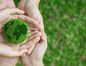 Hands holding a small green globe made of grass, symbolizing environmental sustainability