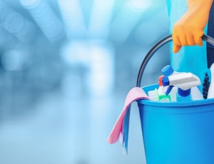cleaner holding cleaning equipment