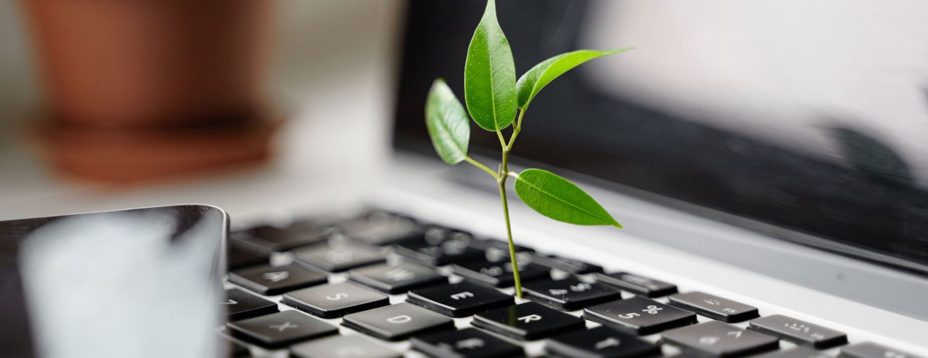 Small green plant sprouting from the keyboard of a laptop, symbolizing sustainability and digital growth