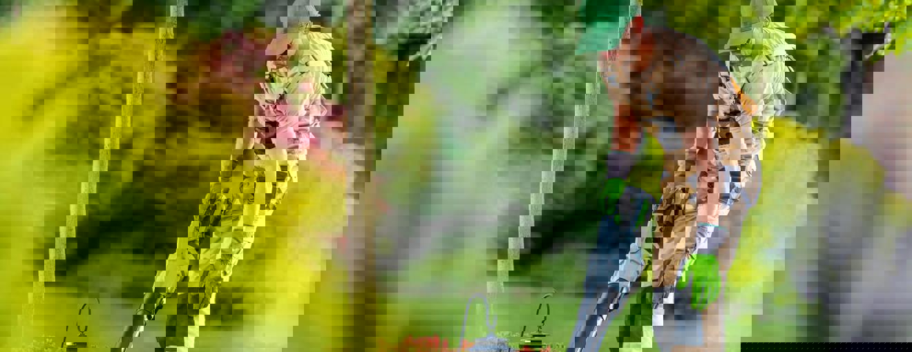 Gardener using a leaf blower to clear debris in a landscaped garden