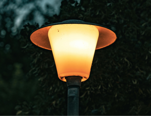 A streetlight in front of a bush