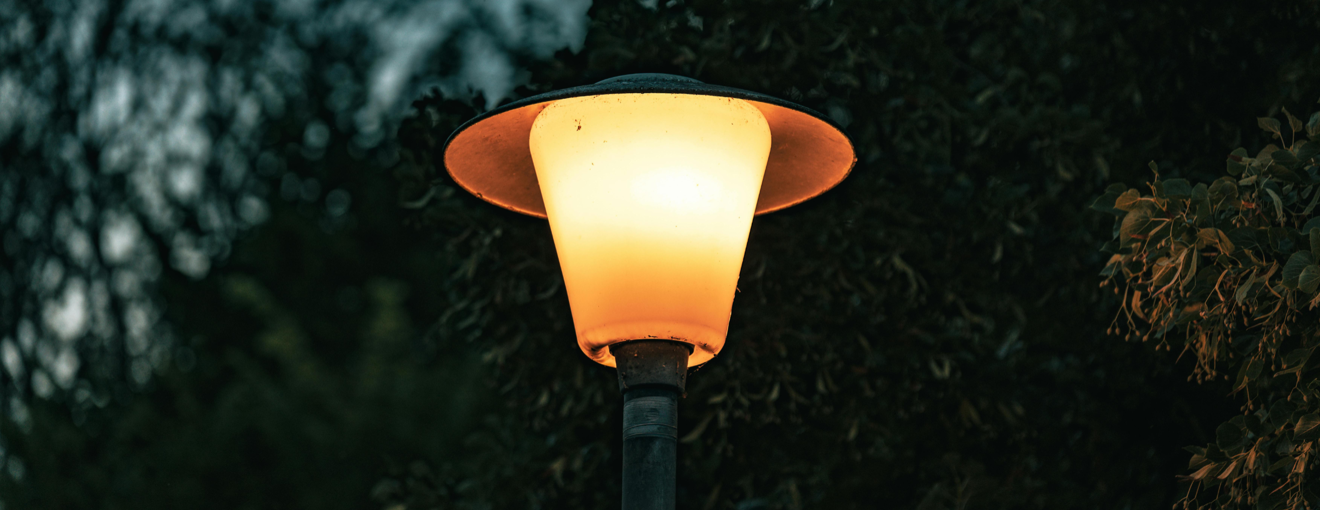 A streetlight in front of a bush