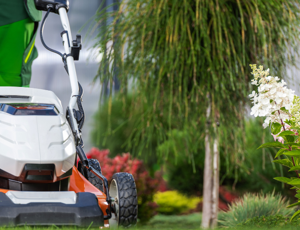 A lawnmower in action